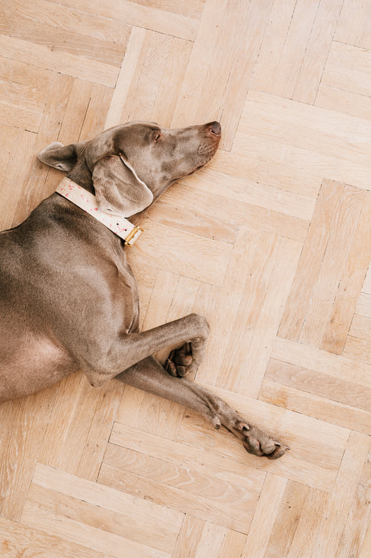 What's the best timber flooring for pets?